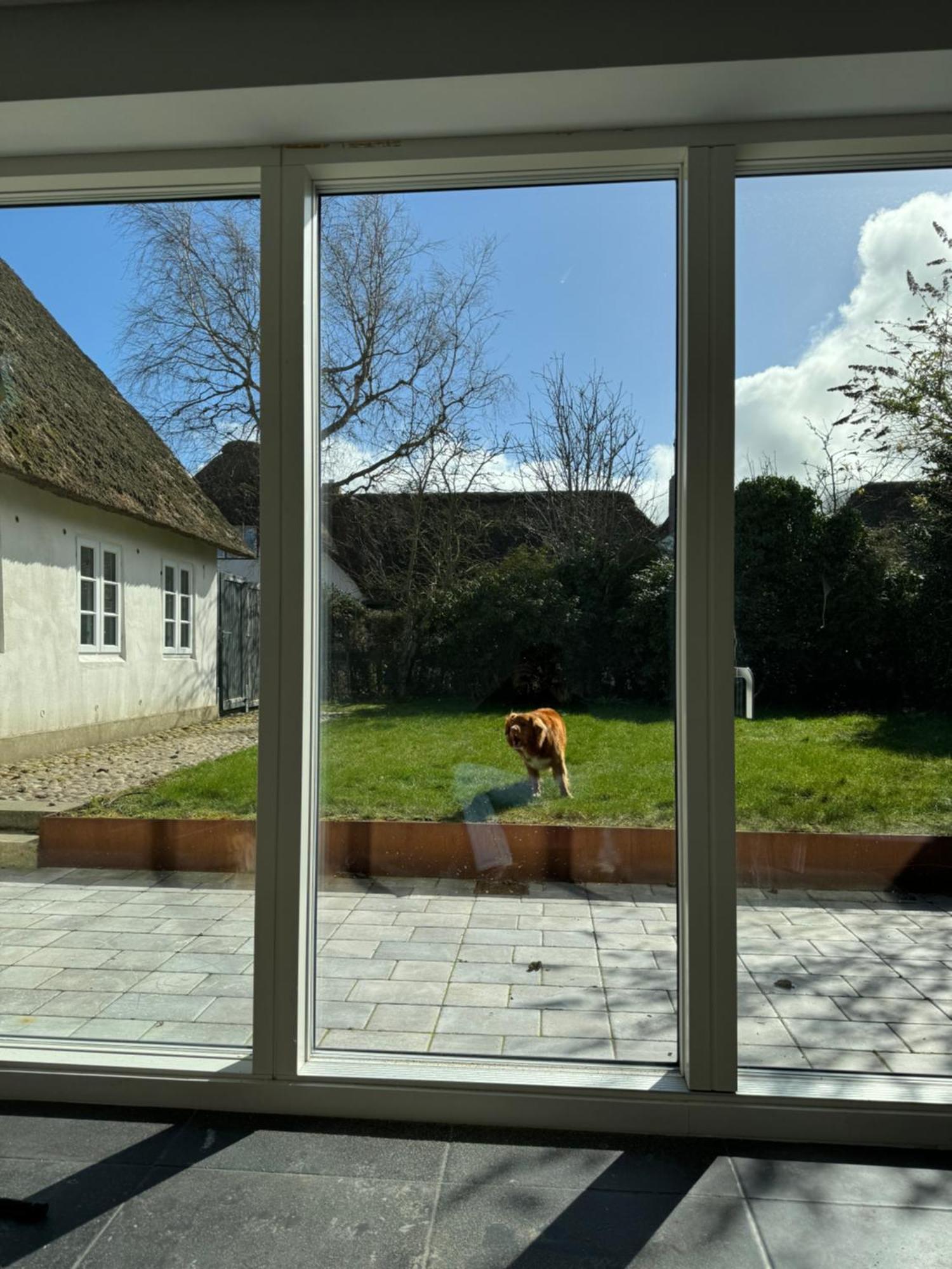 Kapitaenshaus Von 1712 - Neu Saniert Lejlighed Niblum Eksteriør billede
